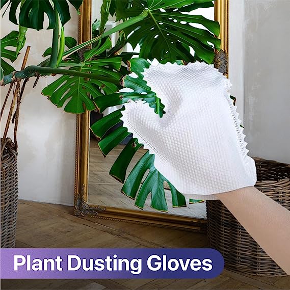 💥Home Disinfection Dust Removal Gloves(20 PCS)