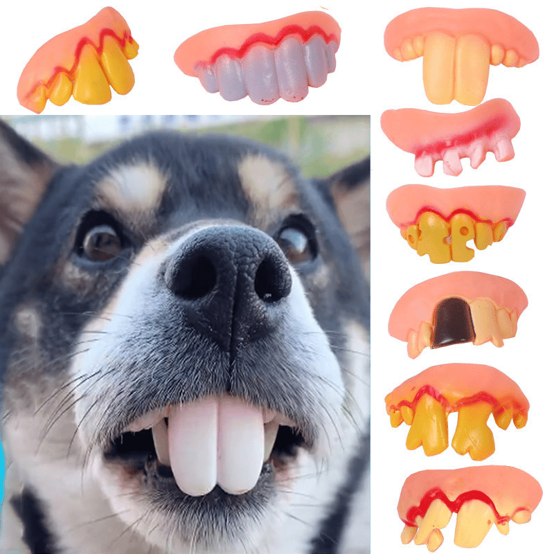 Funny Pet Dentures Toys