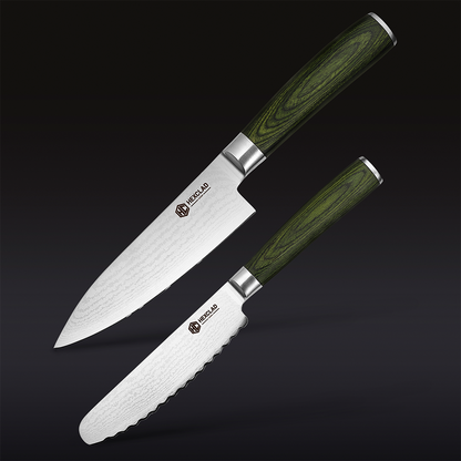 Damascus Steel Starter Knife Set, 2-pc (Green)